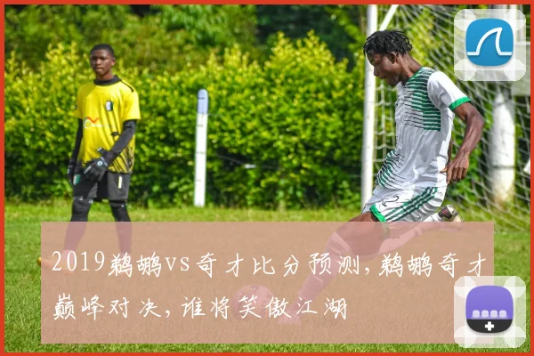 2019鹈鹕vs奇才比分预测,鹈鹕奇才巅峰对决,谁将笑傲江湖